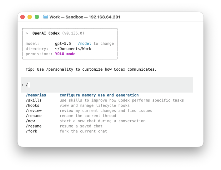 Codex terminal session opened in an Agentic sandbox.