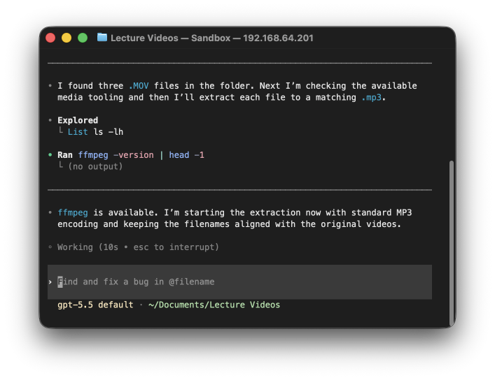 Codex terminal session working through commands inside the sandbox.